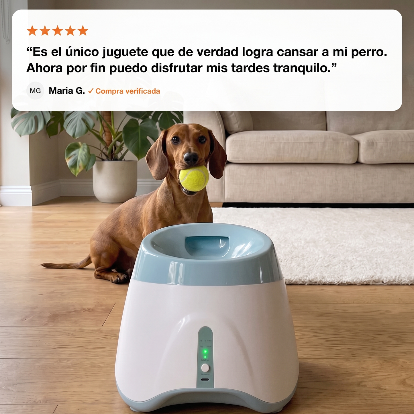Dispensador De Pelotas Automático Para Perros