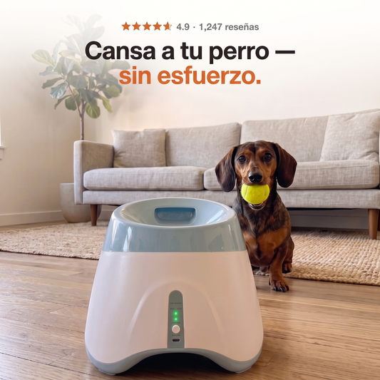 Dispensador De Pelotas Automático Para Perros
